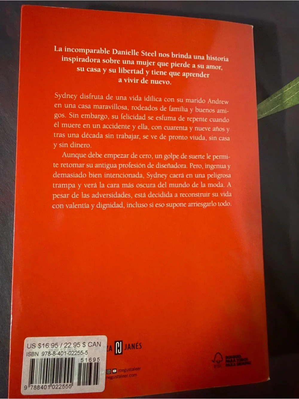 Danielle Steel 'Volver a Vivir' Paperback